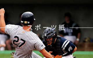 日刊スポーツクリエィション求人広告